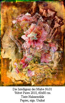 Die Intelligenz der Malve Nr.01